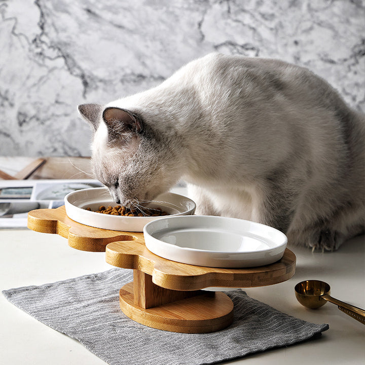 Pets Feeding Bowl Set
