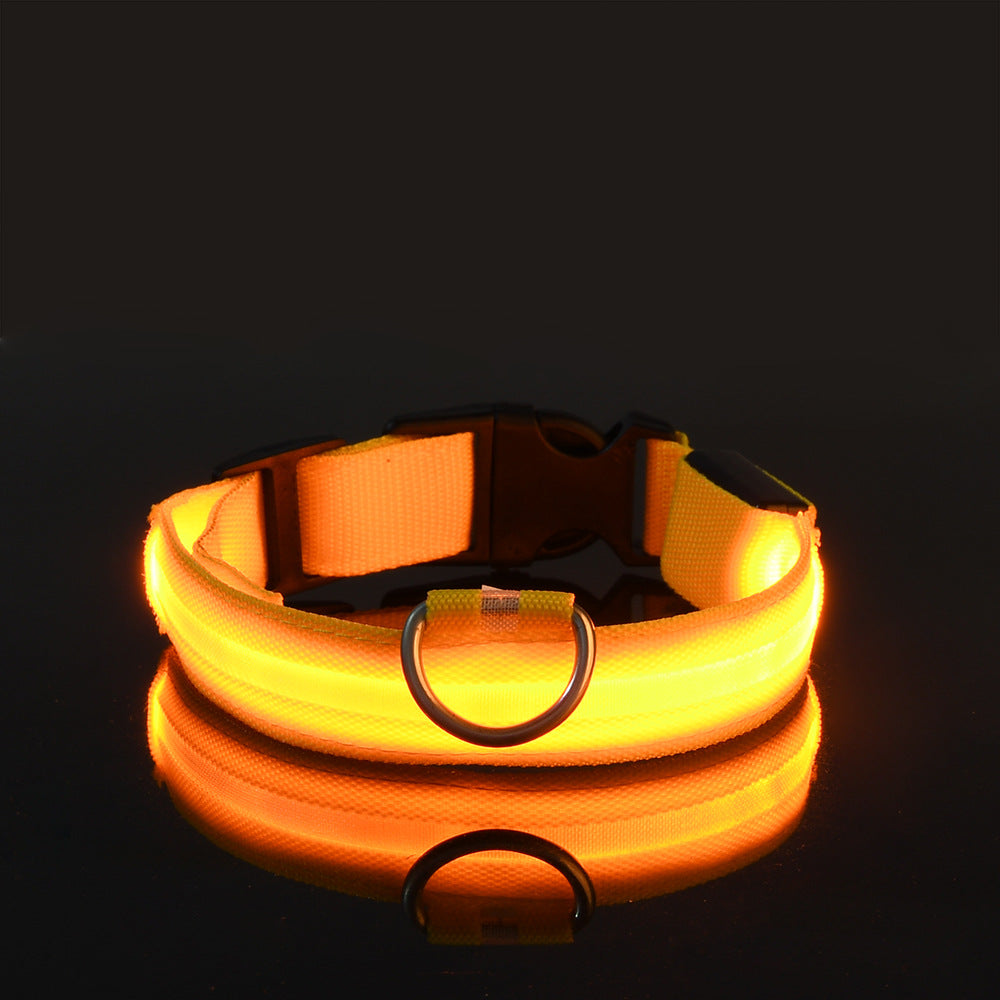 Pet LED collars