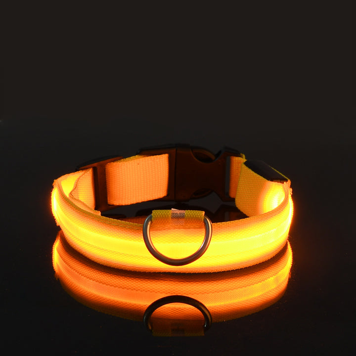 Pet LED collars