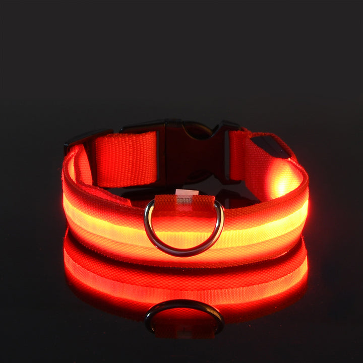 Pet LED collars
