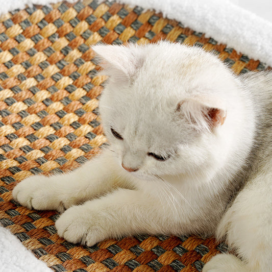 🐱Cat scratching board - 2
