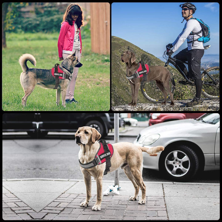 Pet Dog New Reflective Comfortable