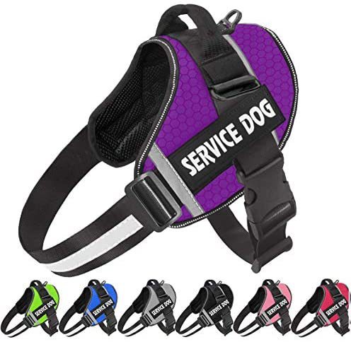 Pet Dog New Reflective Comfortable