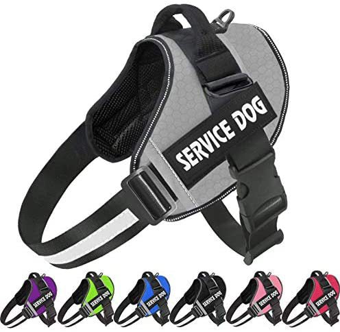 Pet Dog New Reflective Comfortable