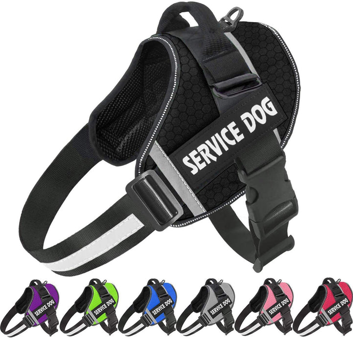 Pet Dog New Reflective Comfortable