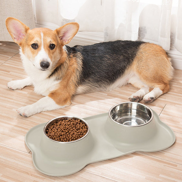 Pet bowl Set