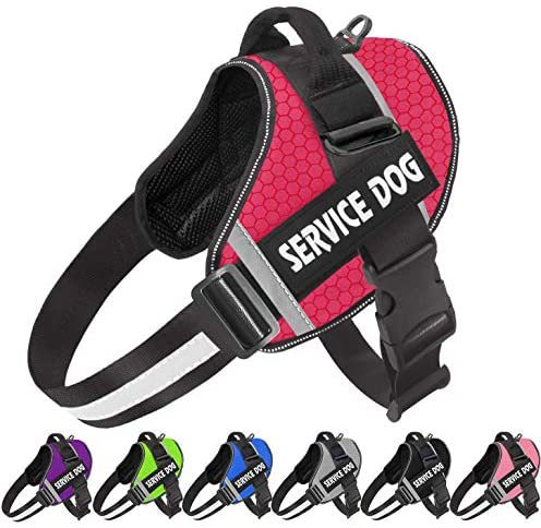 Pet Dog New Reflective Comfortable