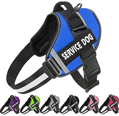 Pet Dog New Reflective Comfortable
