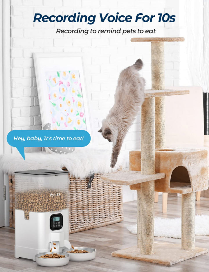 Pet Automatic Feeder