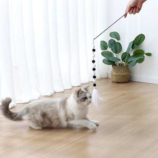 🐱Cat Teaser