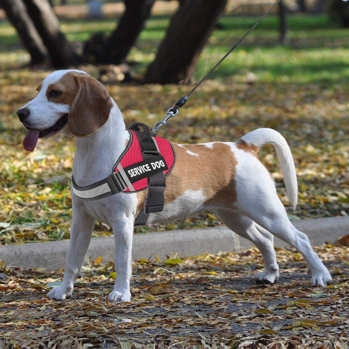 Pet Dog New Reflective Comfortable